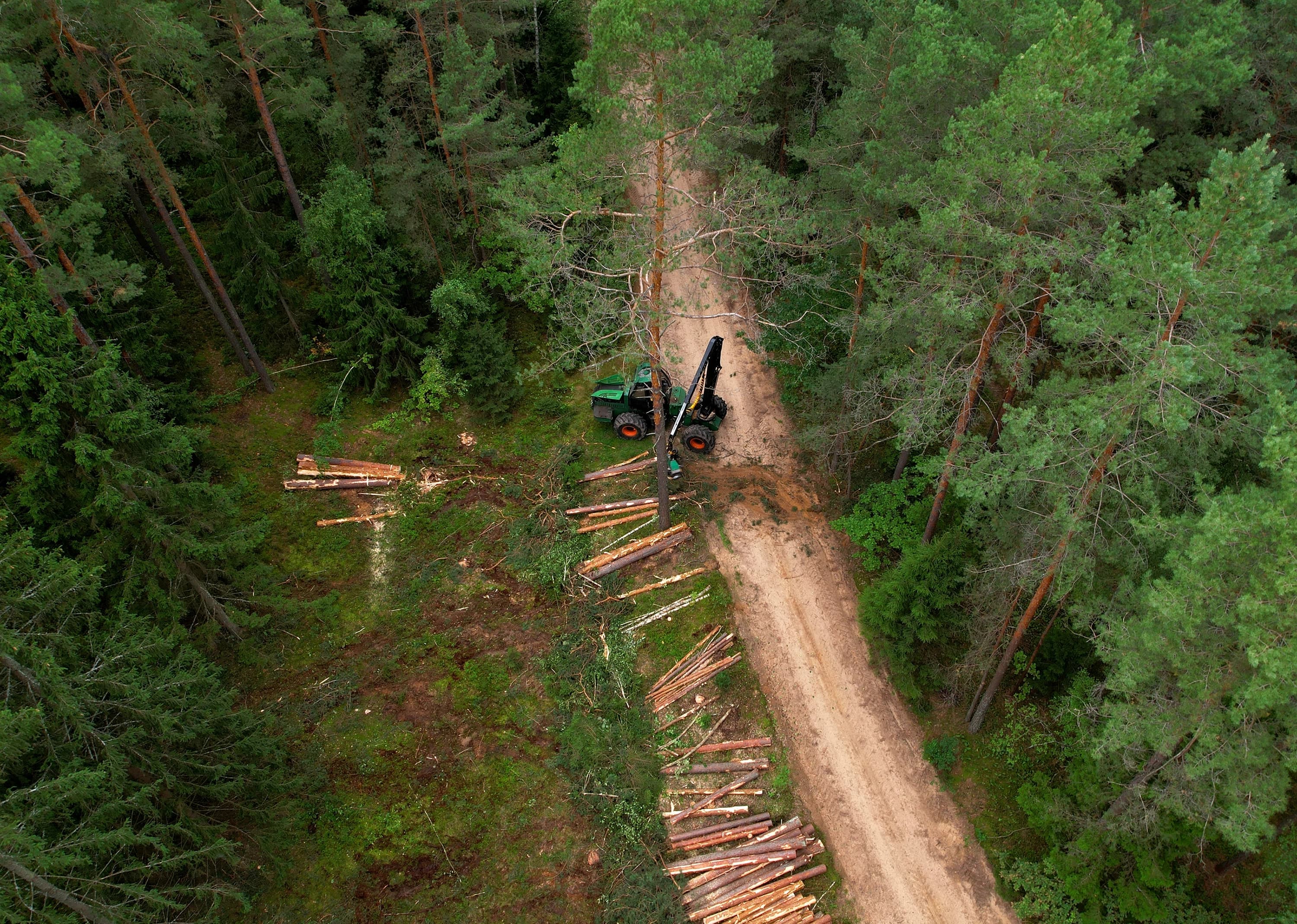 forestry and agriculture